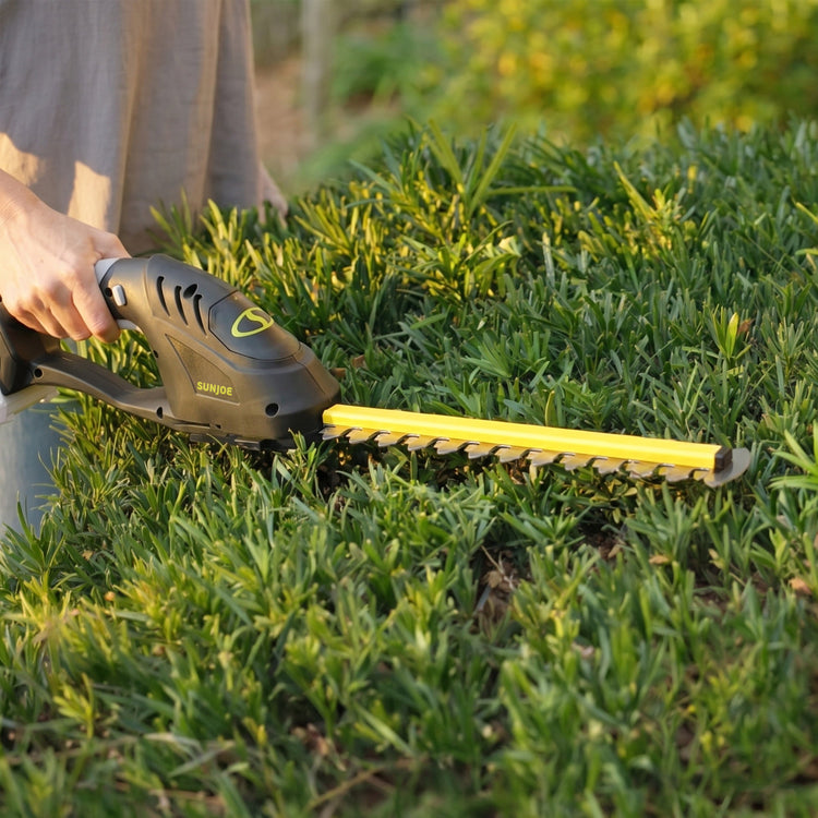 Person using a hedge trimmer to trim a bush outdoors