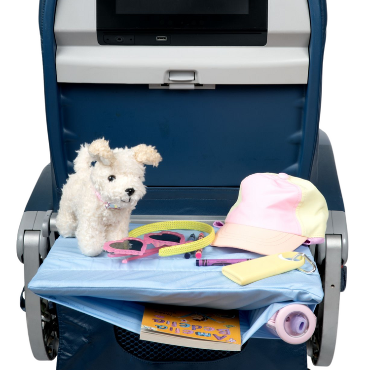 Serenity Tray Organizer