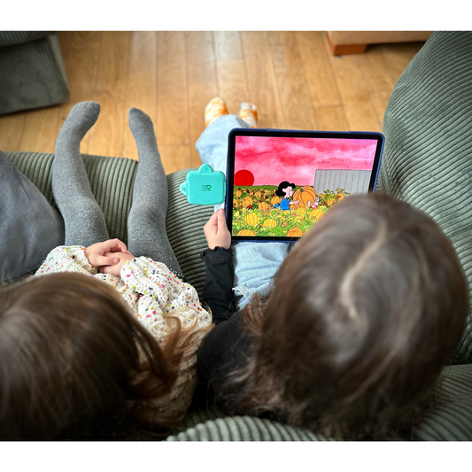 RC Universe 3-in-1 Charger