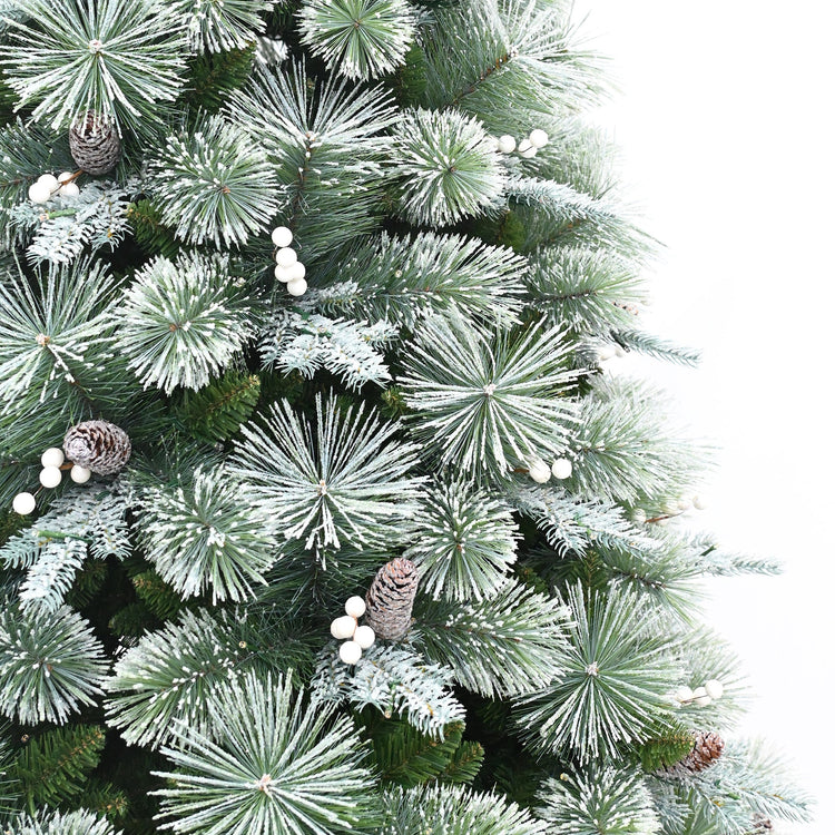 Close-up of a Christmas tree with green needles, pinecones, and white berries on a white background.