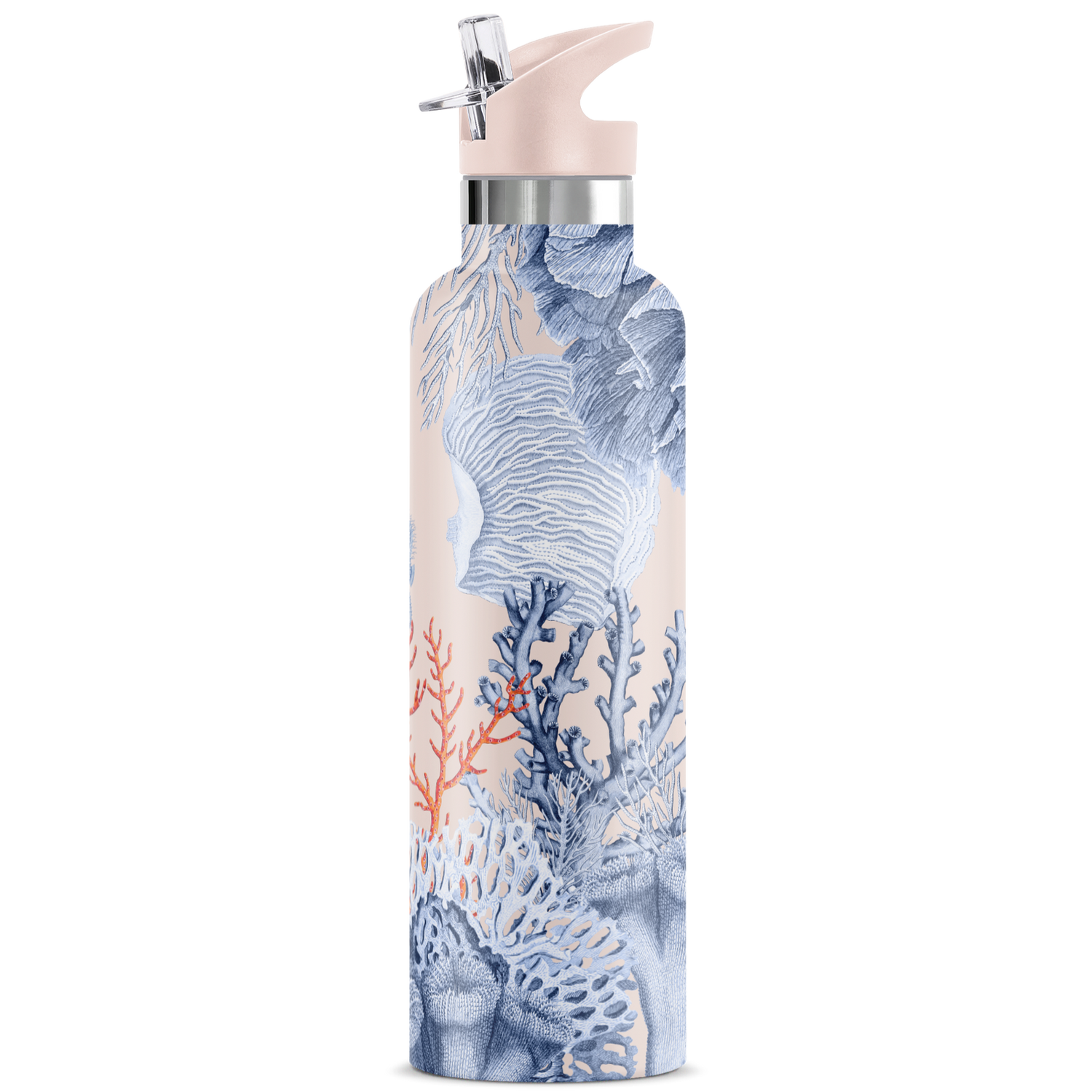 Del Mar | Seahorse 25oz. Insulated Water Bottle - My Bougie Bottle