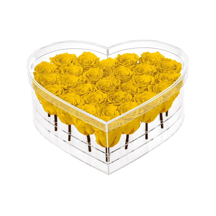 Heart-shaped box filled with yellow roses on a white background