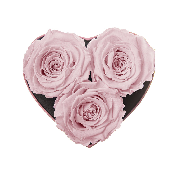 Heart-shaped box with three pink roses on a white background