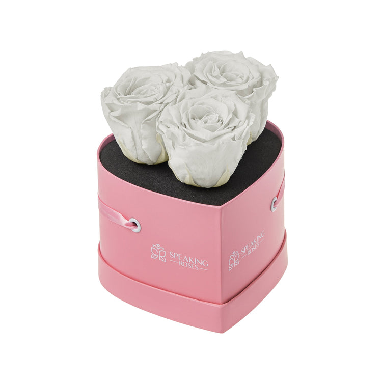 Pink heart-shaped box with white roses on a white background