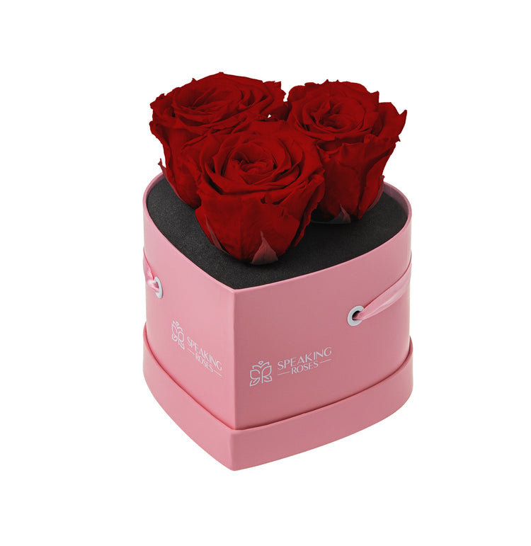 Pink box with red roses on a white background