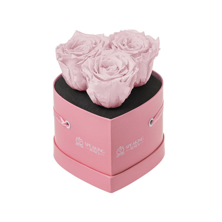 Pink heart-shaped box with preserved pink roses on a white background
