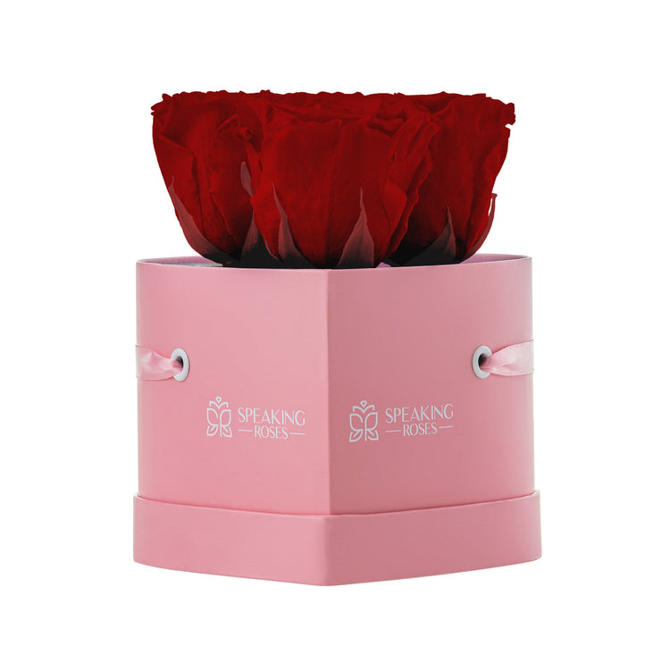 Red rose in a pink box with 'Speaking Roses' branding on a white background