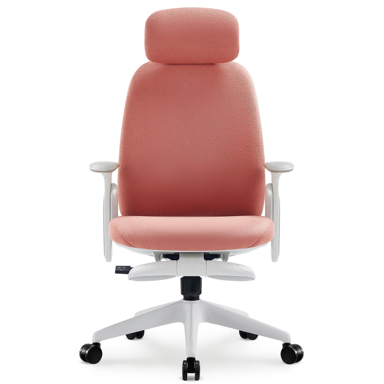 NAPA Ergonomic Chair