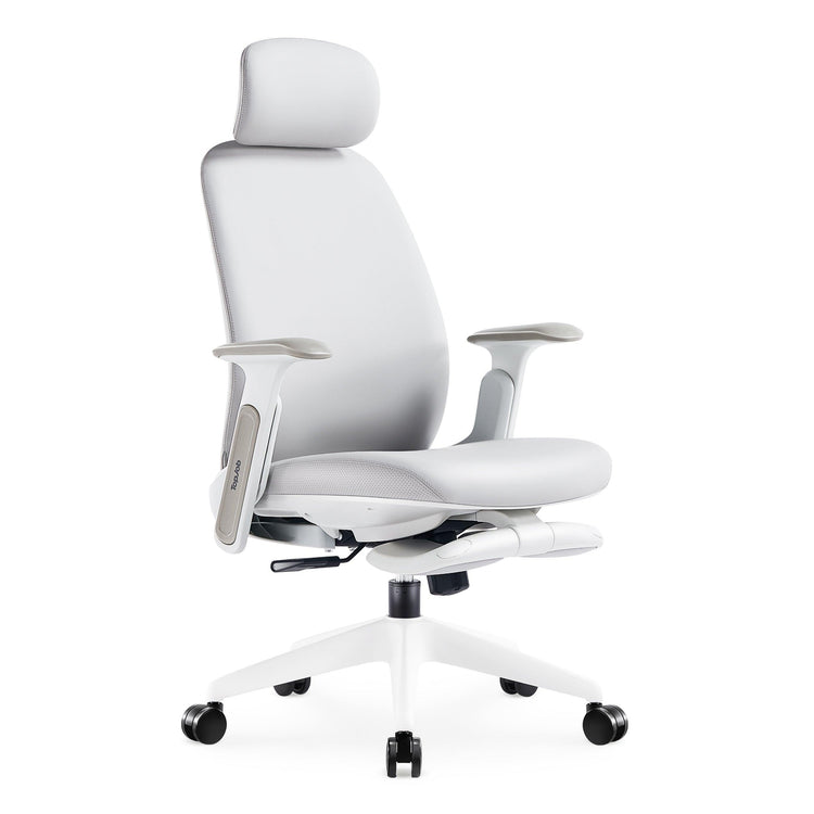 NAPA Ergonomic Chair