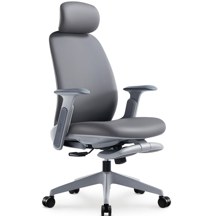 NAPA Ergonomic Chair