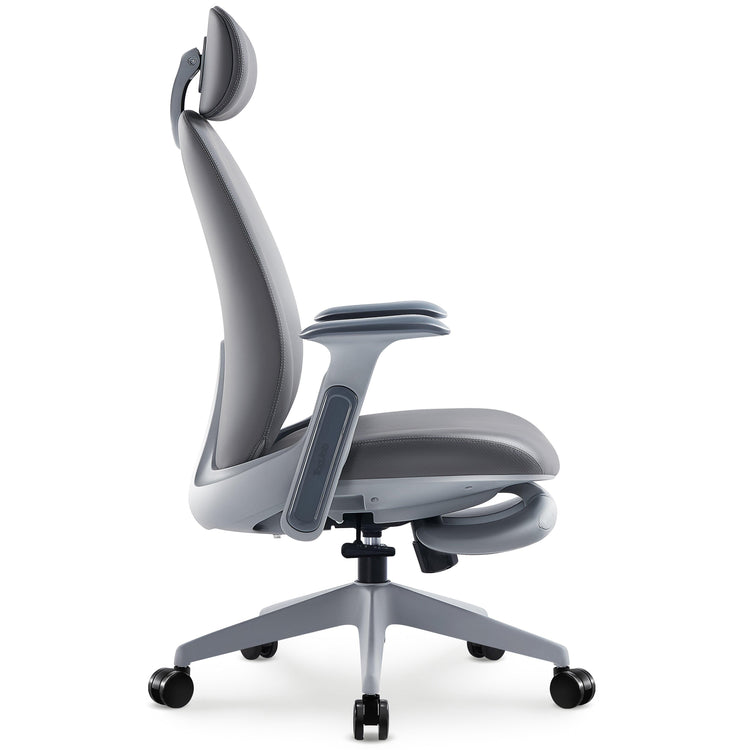 NAPA Ergonomic Chair