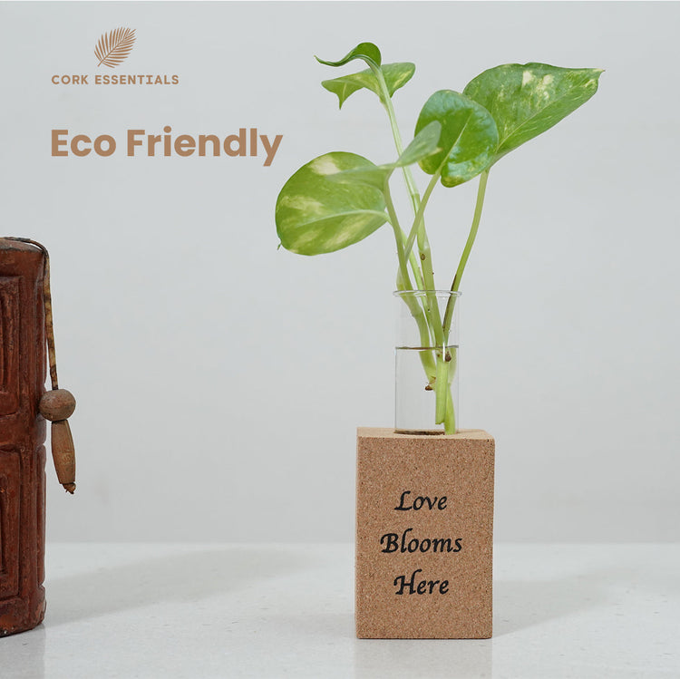 Fridge Magnet Planter Love Blooms Here With Test Tube