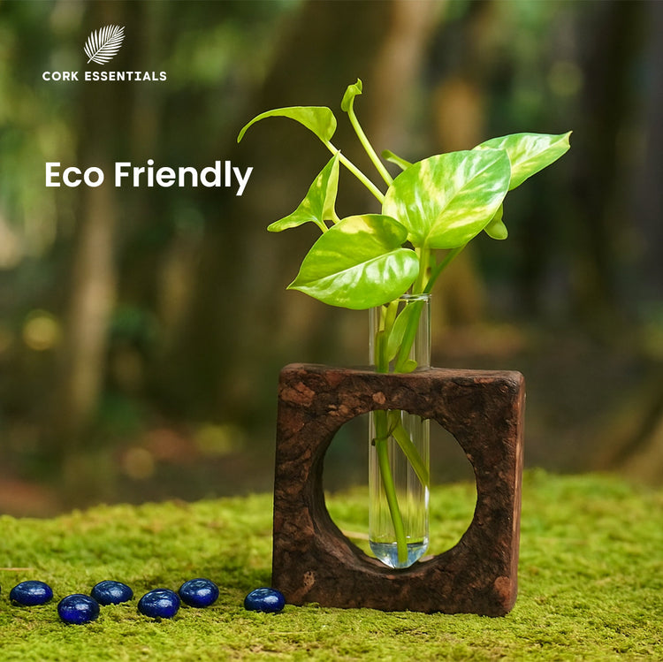 Cork Bark Planter With Test Tube