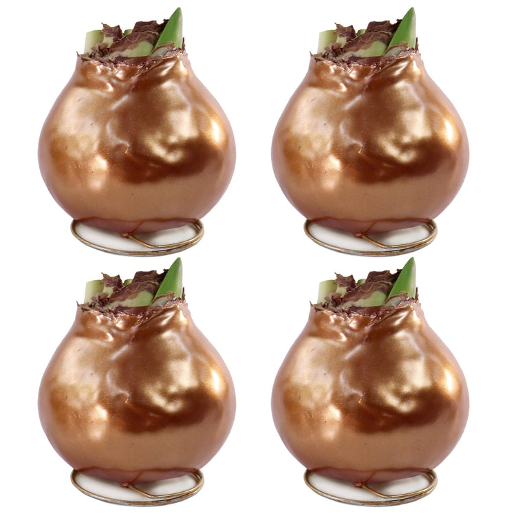 4-Piece Metallic Bronze Waxed Amaryllis