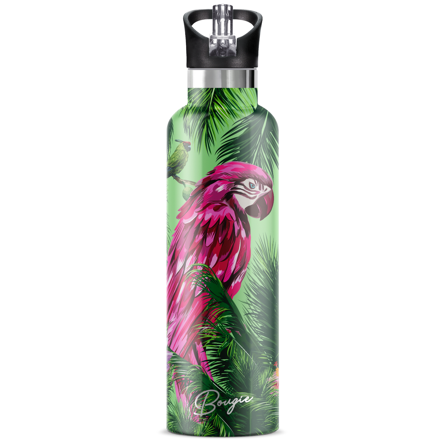Macaw | 25oz. Insulated Water Bottle - My Bougie Bottle