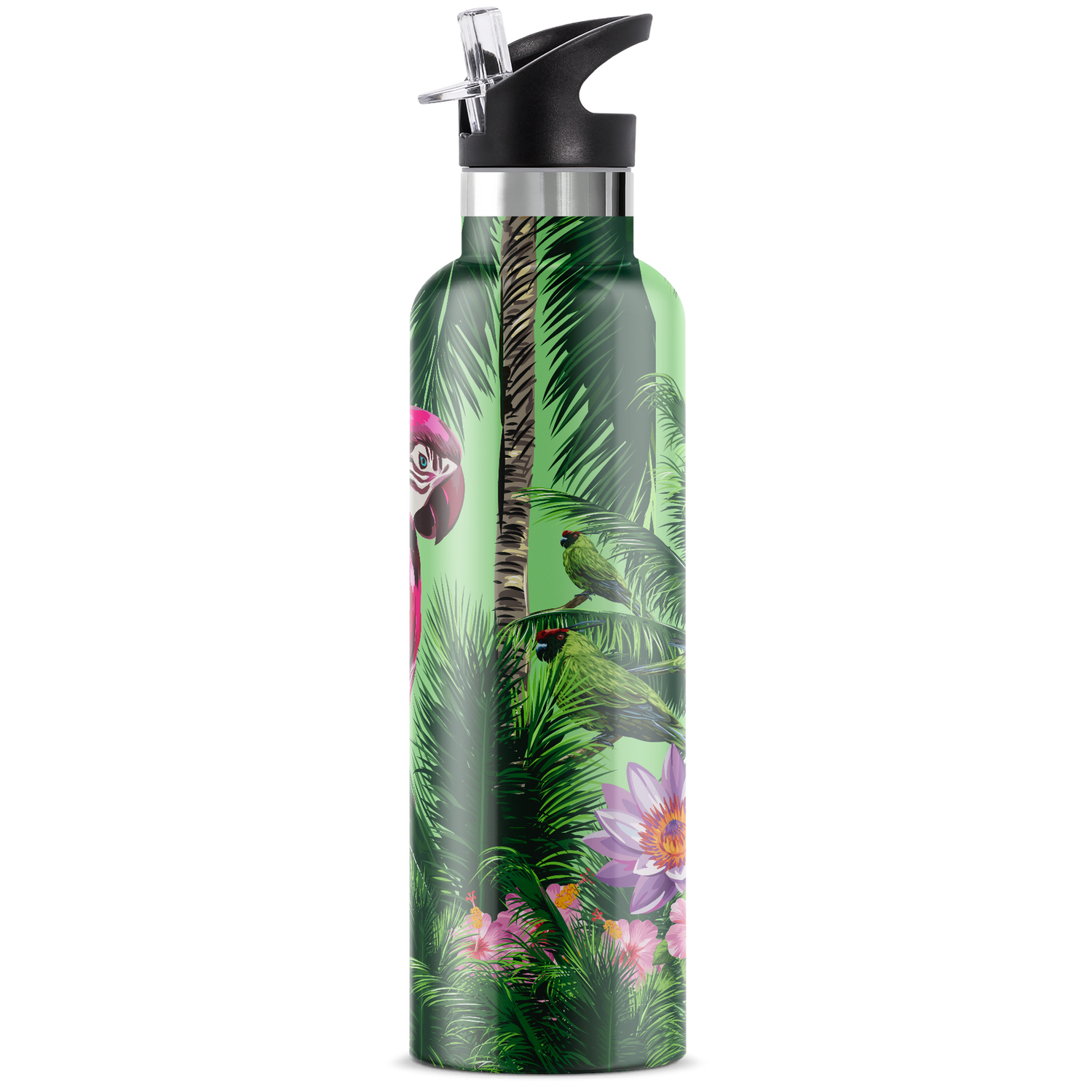 Macaw | 25oz. Insulated Water Bottle - My Bougie Bottle