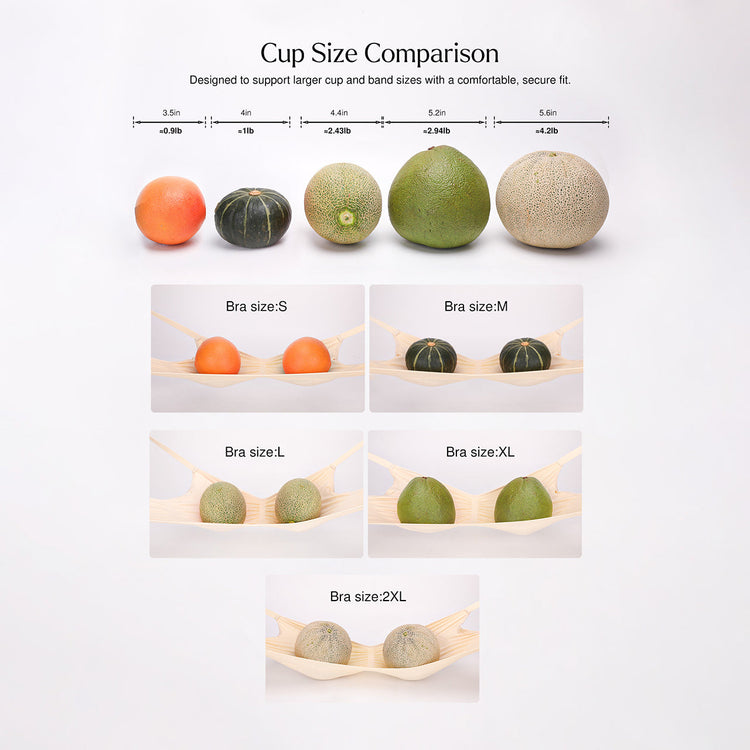 Comparison chart of bra cup sizes using fruits on a white background