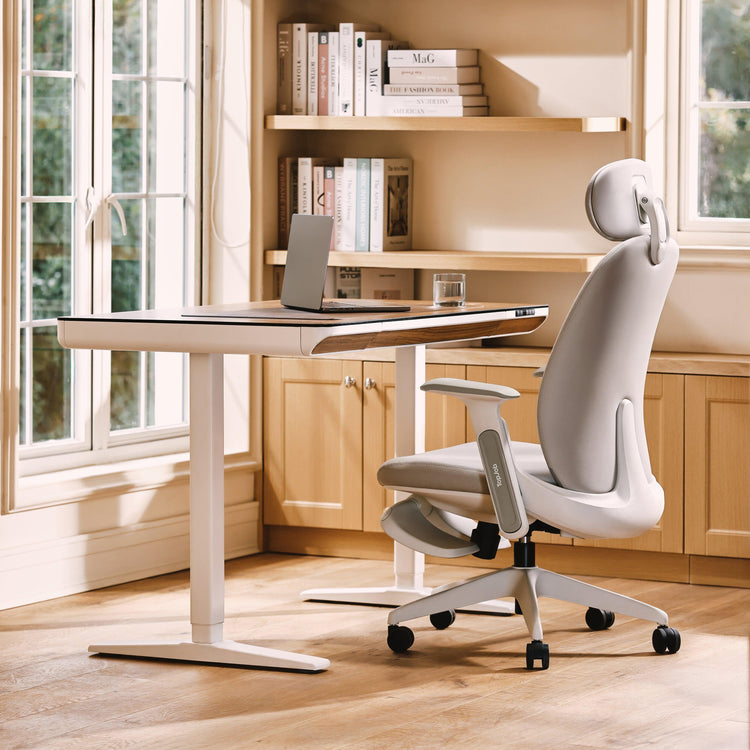 NAPA Ergonomic Chair