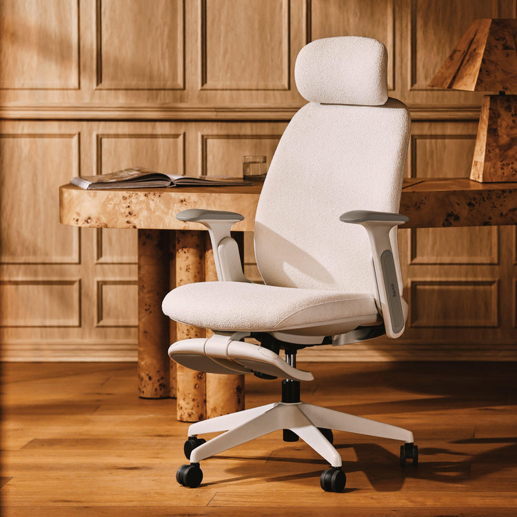 NAPA Ergonomic Chair