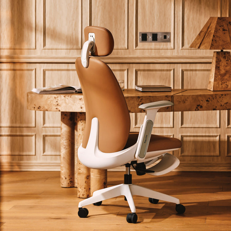 NAPA Ergonomic Chair