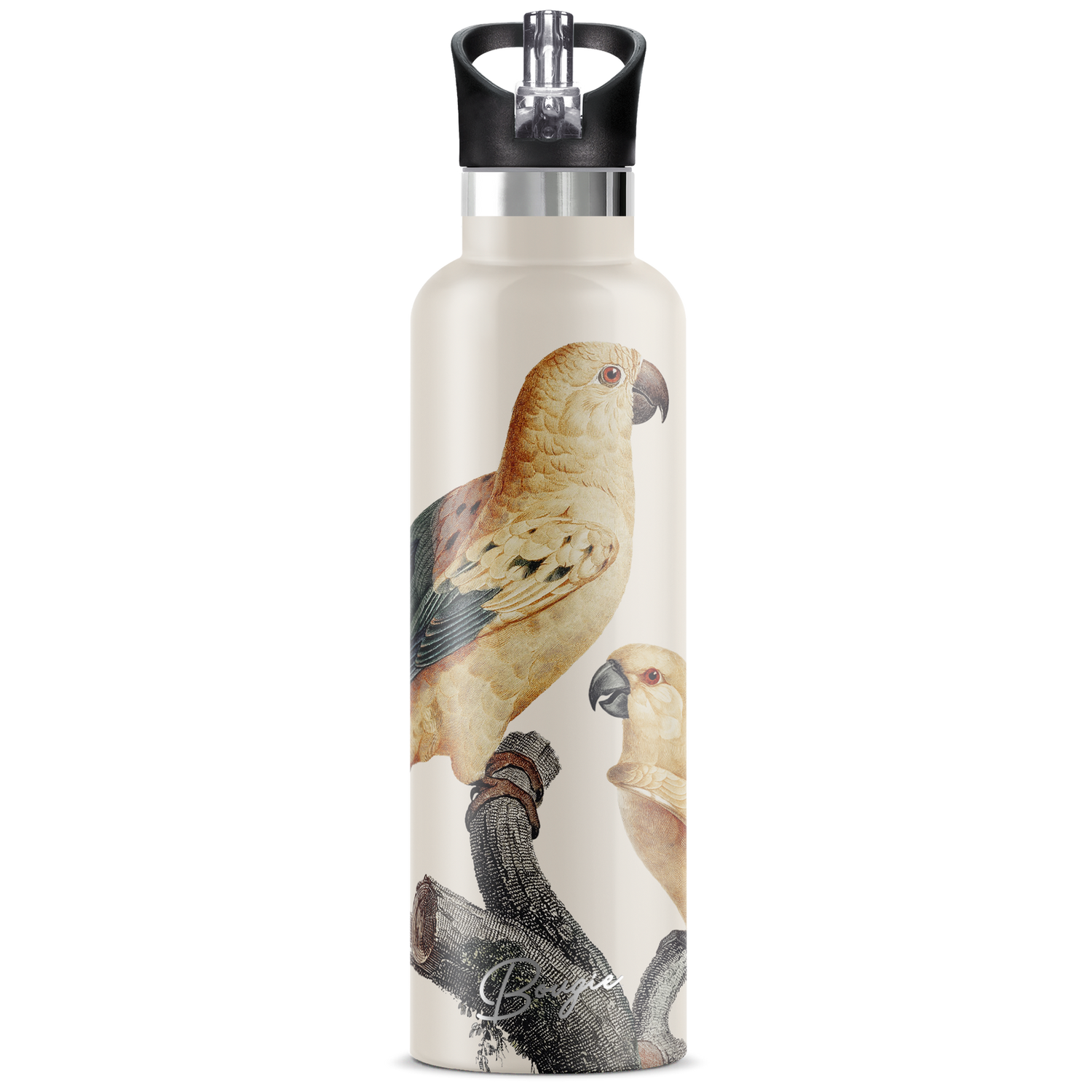 Perico | 25oz. Insulated Water Bottle - My Bougie Bottle