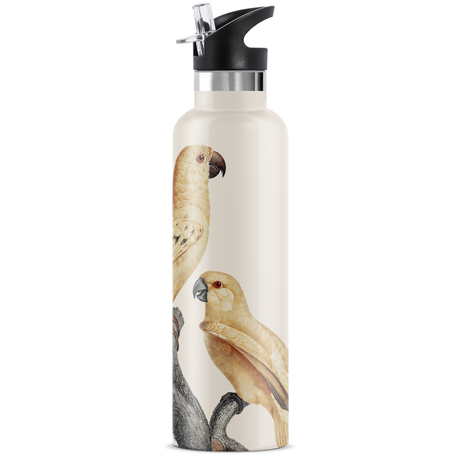 Perico | 25oz. Insulated Water Bottle - My Bougie Bottle