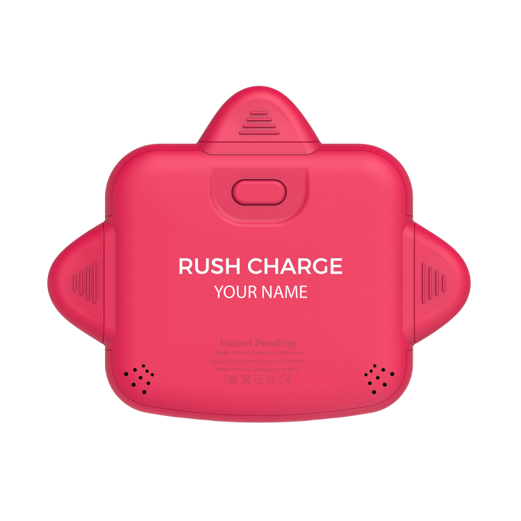 Personalized RC Universe 3-in-1 Charger