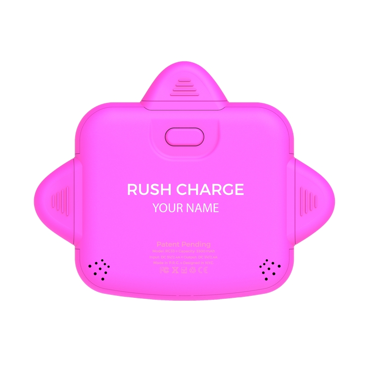 Personalized RC Universe 3-in-1 Charger