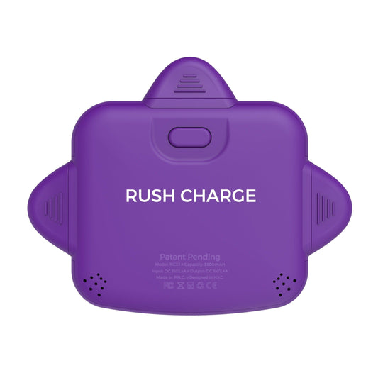 RC Universe 3-in-1 Charger