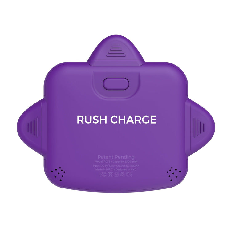 RC Universe 3-in-1 Charger