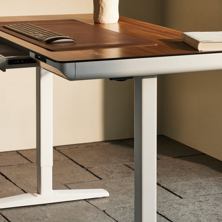 Ripple Wellness Motion Standing Desk