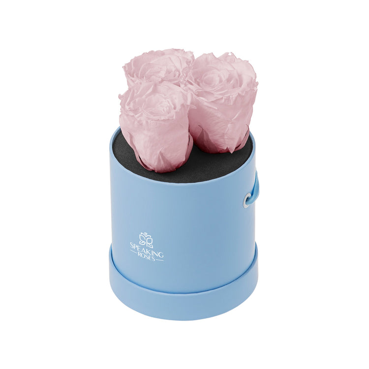 Blue cylindrical container with pink roses on a white background
