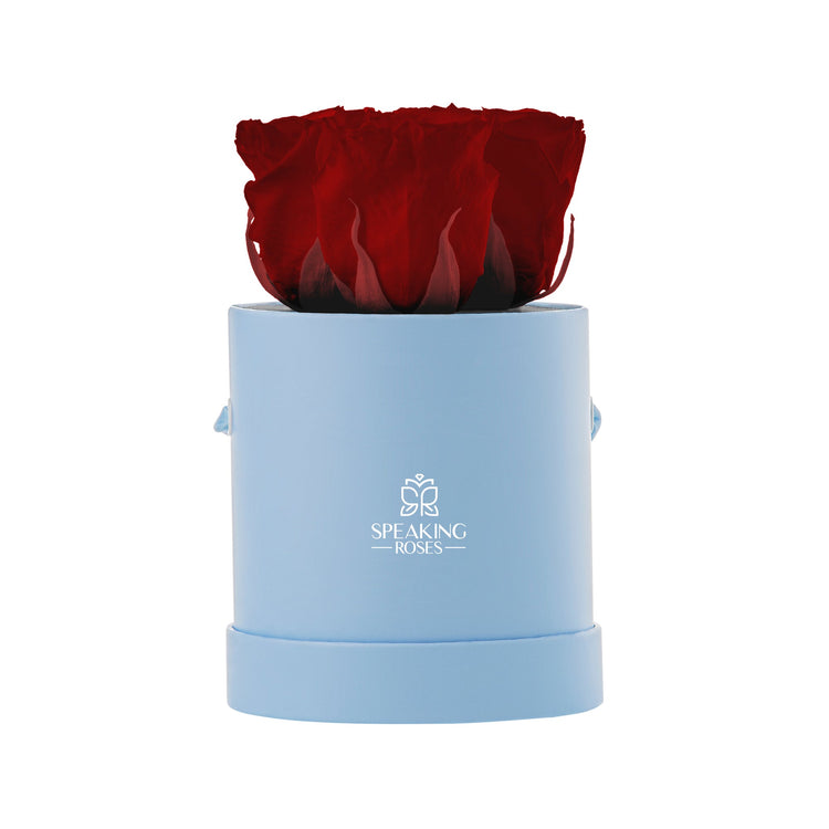 Red rose in a light blue cylindrical container with 'Speaking Roses' logo on a white background