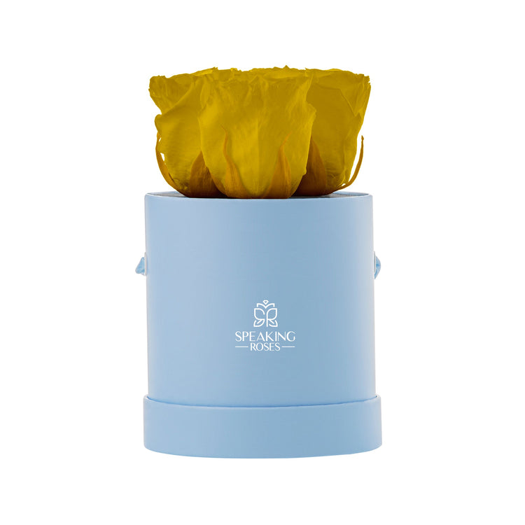 Yellow flower in a blue cylindrical container with 'Speaking Roses' logo on a white background