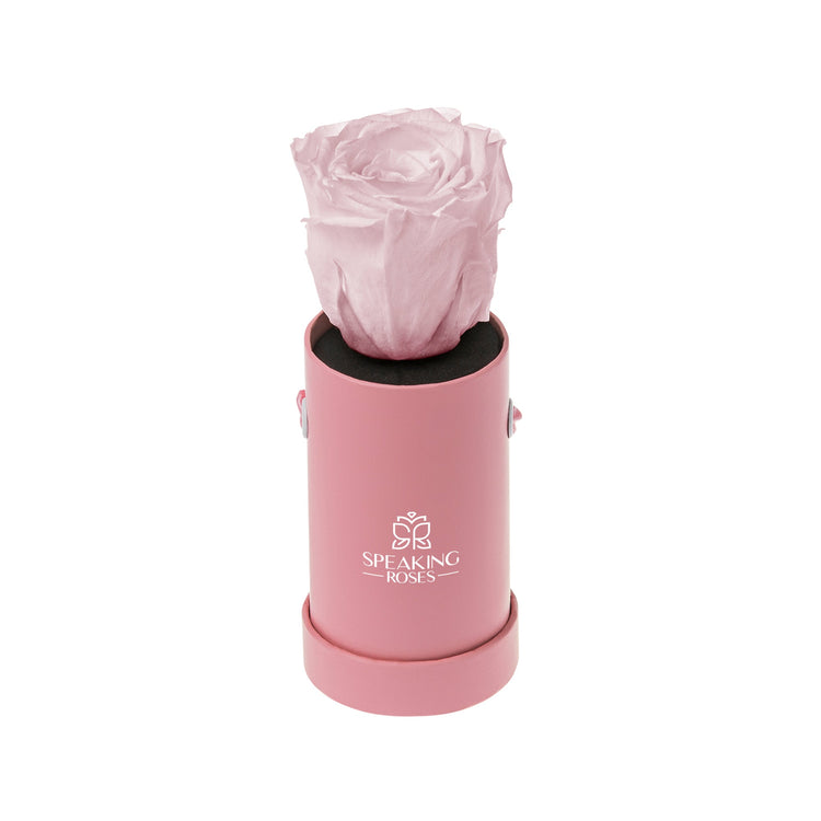 Pink rose in a pink container with 'Speaking Roses' logo on a white background
