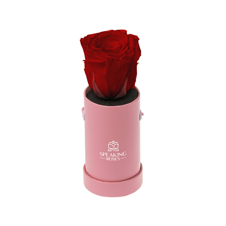 Pink cylindrical container with a single red rose inside, branded 'Speaking Roses', on a white background.