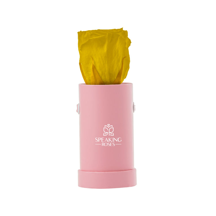 Pink container with a yellow rose inside on a white background, featuring the 'Speaking Roses' logo.
