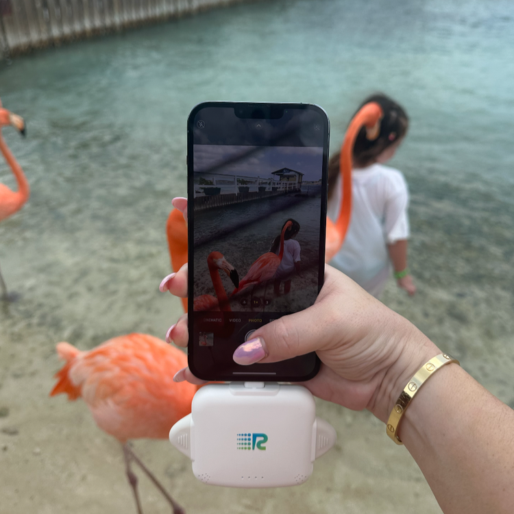 RC Universe 3-in-1 Charger