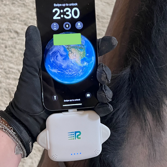 RC Universe 3-in-1 Charger - 4 Pack (Midnight Black/Snow White/Hot Pink/Royal Blue)