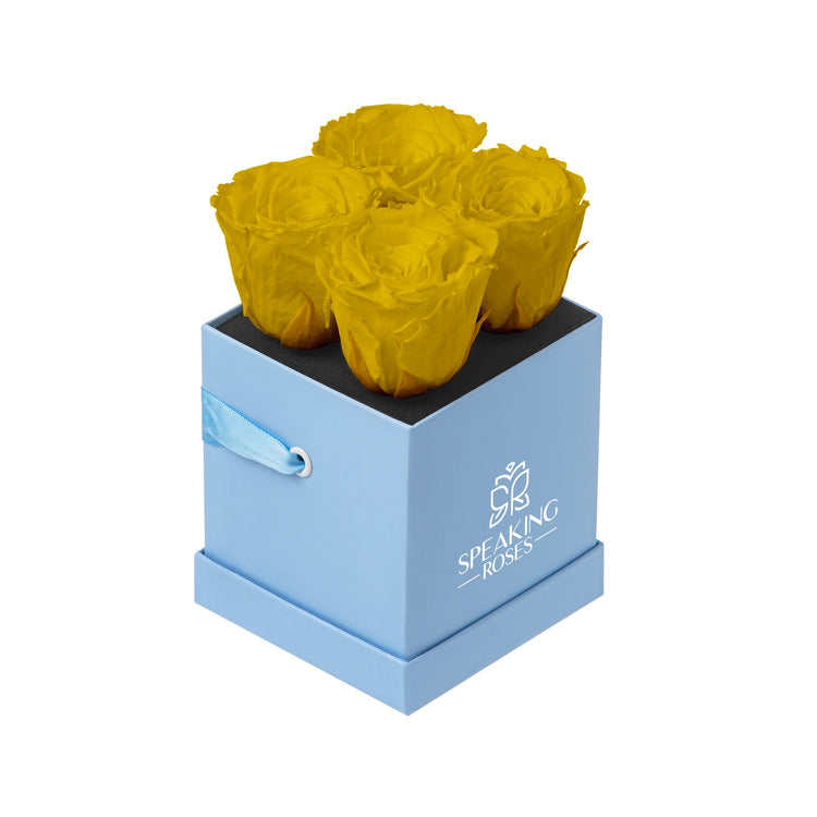 Yellow roses in a blue box with 'Speaking Roses' branding on a white background