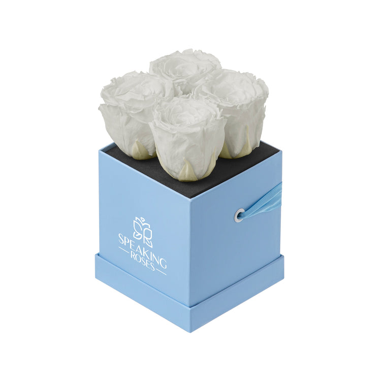 Four white roses in a blue box with 'Speaking Roses' branding on a white background