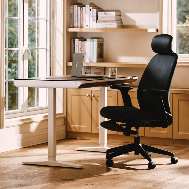 NAPA Ergonomic Chair