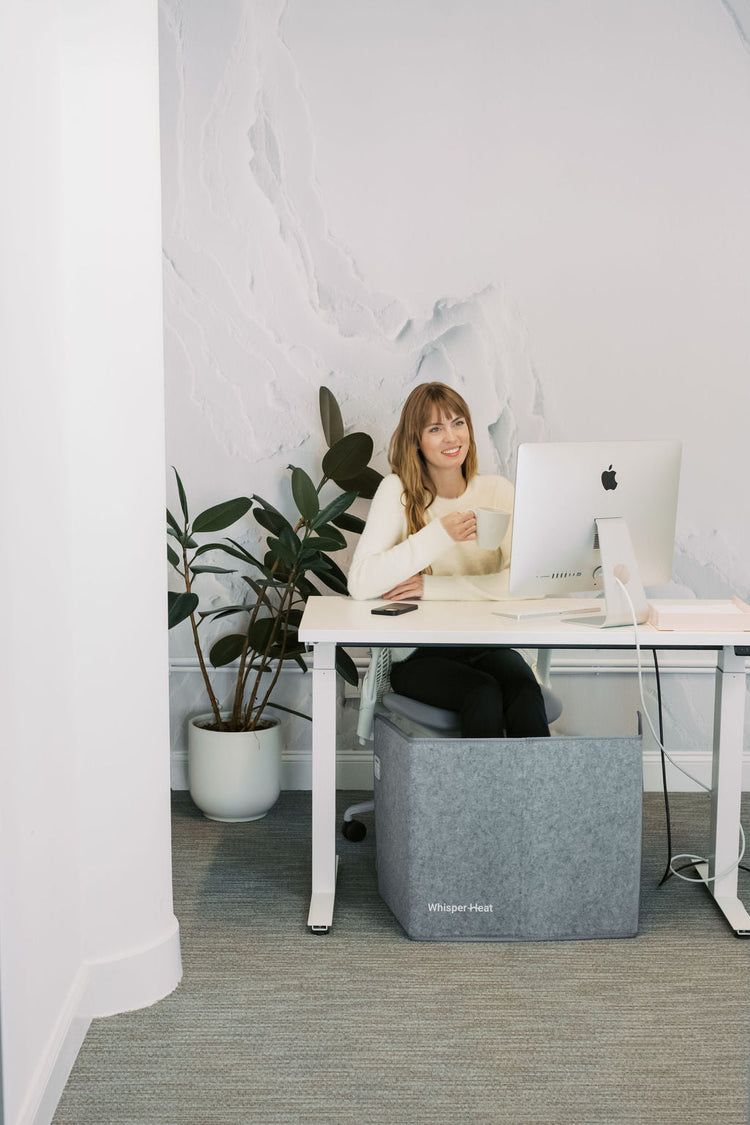 Person sitting at a desk with a computer and plant in a home office setting
