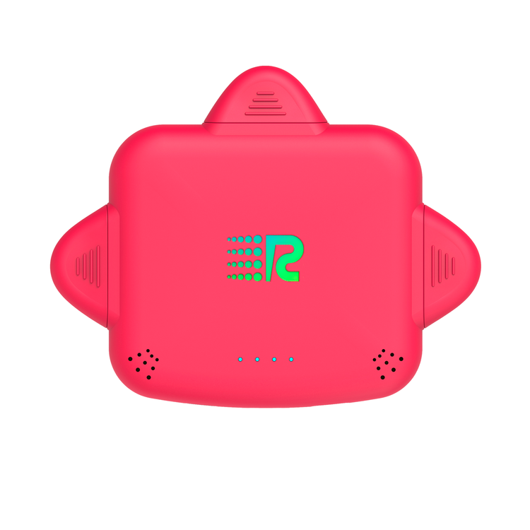 Personalized RC Universe 3-in-1 Charger