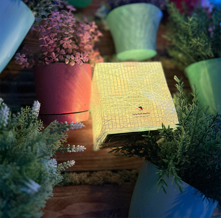 Gold box with a brand logo surrounded by potted plants on a wooden surface