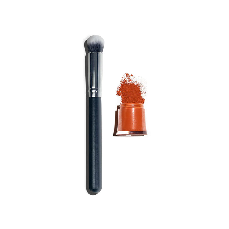 SPECIAL OFFER Color & Lift Control Brush Kit