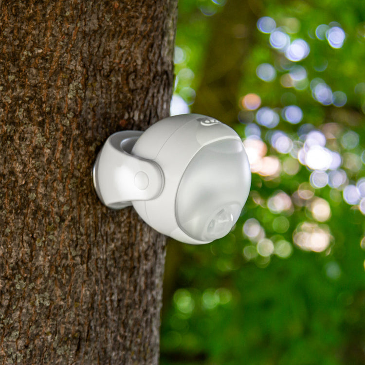 SPECIAL OFFER Portable LED Battery Powered Wireless IP43 Motion Light