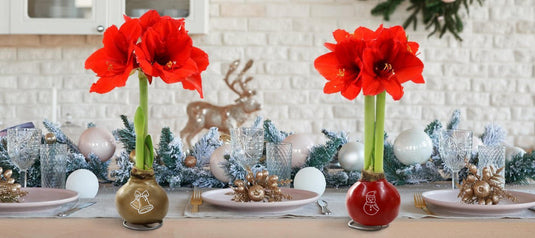 deal banner image_26