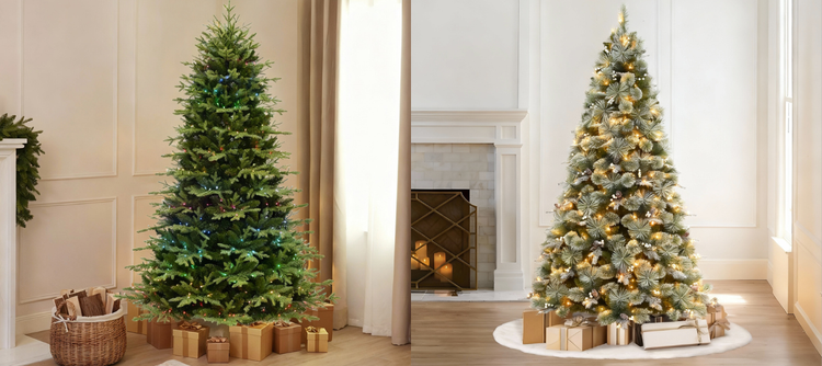 Omega Bright Designs