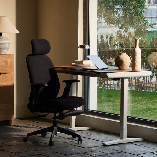 NAPA Ergonomic Chair